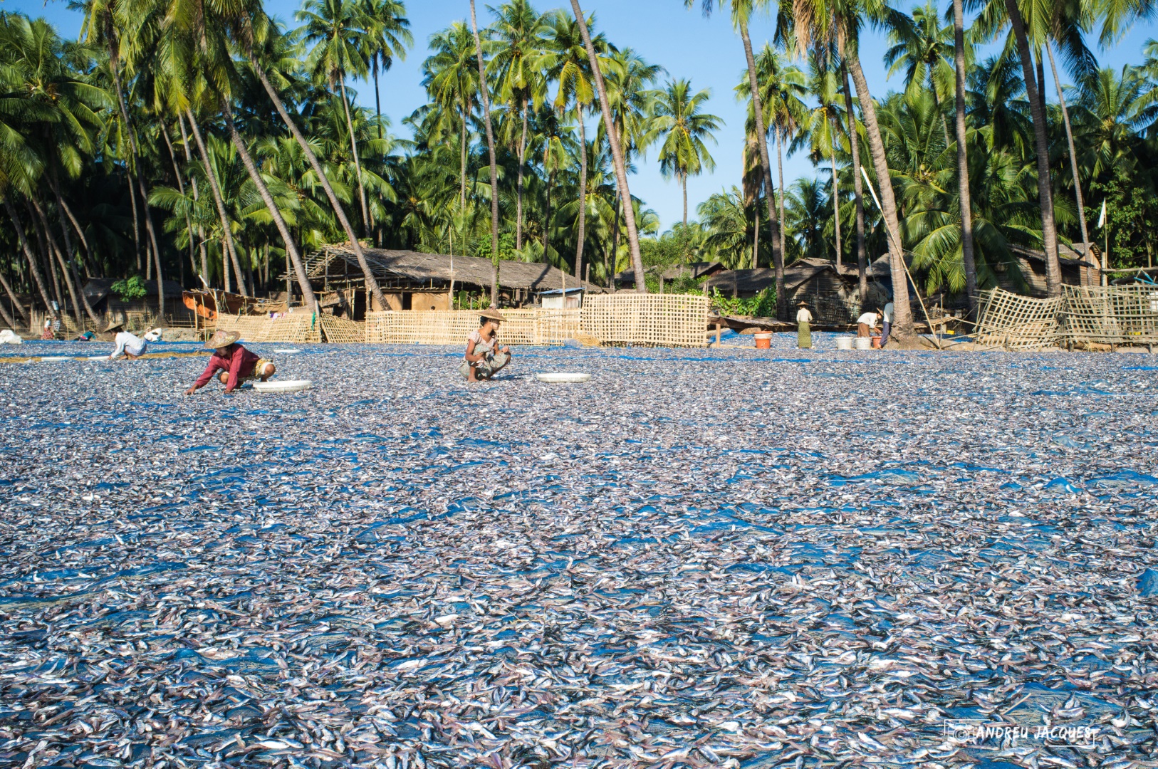 birmanie-235 (Grand).jpg